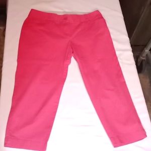 Loft 6p Pink Pants